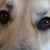 Carrie Lea Dyster's profile image