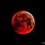 Sandra Stahl's profile image