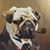 Ken Reau's profile image