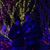 Christina Jodway's profile image