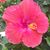 Mary Jean H's profile image