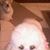 William Rieman's profile image