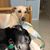 Janet Buhler Robb's profile image