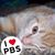 Amy Poarch Zachry's profile image
