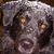 Elaine Arrant's profile image