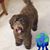 Rae Bolender's profile image