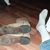 Lace Regan Stubblefield's profile image