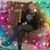 LaShunda T. Hicks's profile image