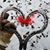 Darcy Bedortha's profile image