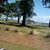 Geraldine Mcwilliams's profile image