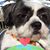 Linda Pallwitz's profile image