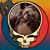 Mindy Seegert's profile image