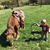 Crystal Mulvaney's profile image