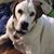 Tracy Nauman's profile image