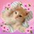 Roxann Isaacs-Williams's profile image