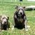 Judie Johnson's profile image