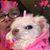 Ruth Neugebauer Andrieux's profile image