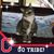 Janice Cole Ives's profile image