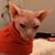 Martin Parra's profile image