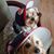Phyllis Bruce's profile image