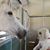 Anna Galioto Vincent's profile image