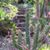 Sue Kahan's profile image