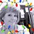 Shelly Moore's profile image