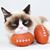 Nancy Sonkoly Brass's profile image