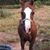 Bosco McGinnis's profile image