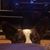 Susan Pritchard Irwin's profile image