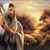 Luis Miguel Rodrigues's profile image