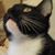 Susan Rees's profile image