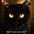 Nena Sangria's profile image