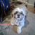Mark Wardlow's profile image