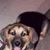 Diane Ribera-Mathiasen's profile image