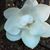 Kaye Tyndall Henry's profile image