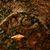 Kimberly Bassett's profile image