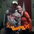 Cheri Olds's profile image