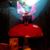 Laura Wanner's profile image