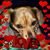 Adrienne Reppeto's profile image