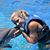 Samantha Chaney Prado's profile image
