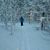 Candace Graff's profile image