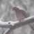 Lori Shaffer's profile image
