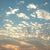 Manan Rana's profile image