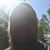 Jason Delp's profile image