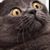Dogukan Hüseyin's profile image