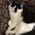 Pamela Kelley's profile image