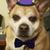 Vickie Klausing's profile image