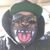 Wes Sheehan's profile image