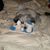 Andrea Kowsky-Allan's profile image